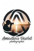 David AMADIEU