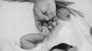 Guillaume CACHEUX - CACHPROD