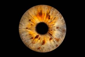 Laura RODRIGUES - OBJECTIF PHOTO